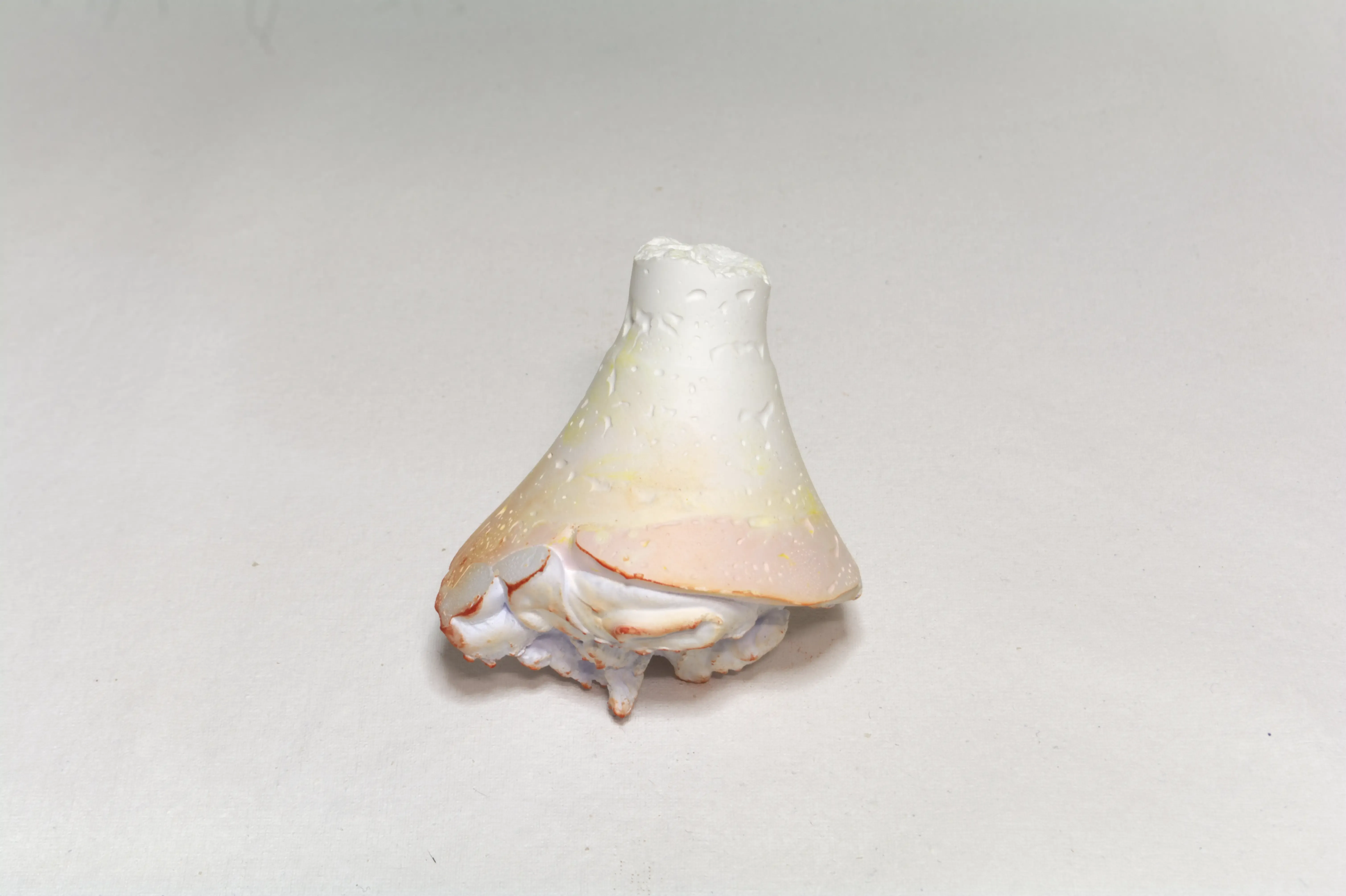 Coca-Cola bottle upper part-3-2, 2022, Plaster, pigments, acrylic coating.webp