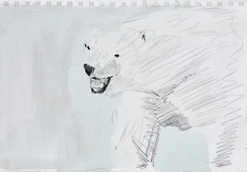 Drawing 20, 2014, Pencil and color on paper.jpg