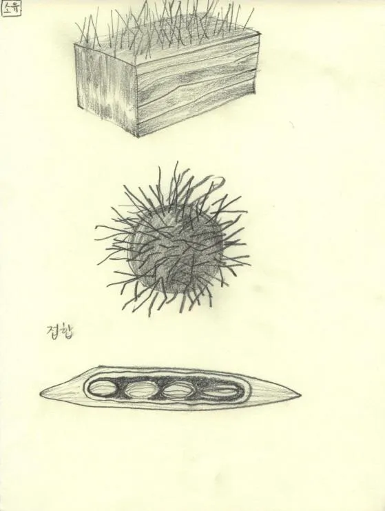 Drawing 27, Ryu Sung Chul, 2012, Pencil and color on paper.jpg