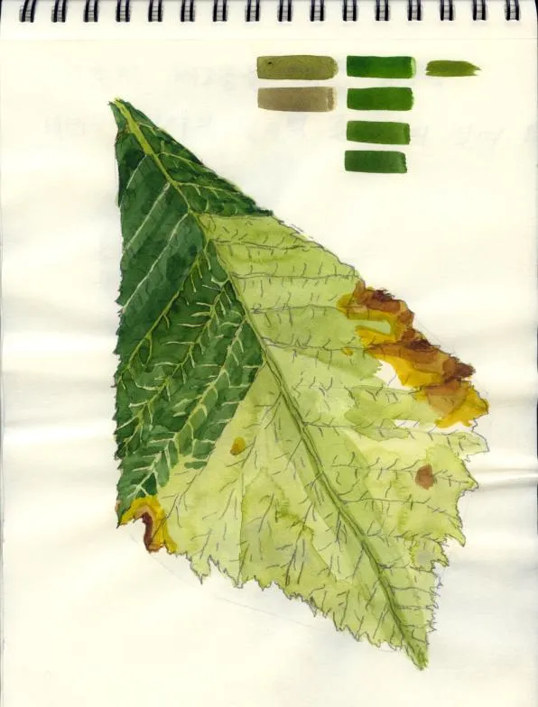 Drawing 47, Ryu Sung Chul, 2012, Pencil and color on paper.jpg