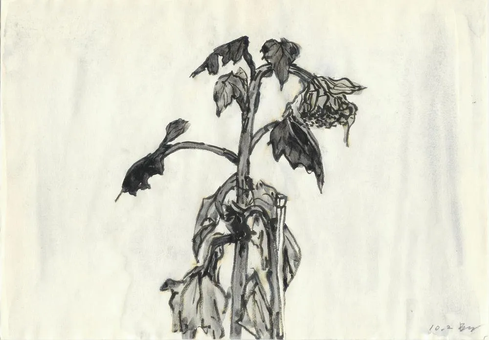 Drawing 54, Ryu Sung Chul, 2013, Pencil and color on paper.jpg