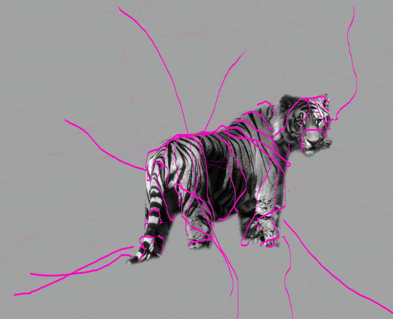 Ego-4, Digital Image, 120cm x 97cm, Ryu Sung Chul, 2013.jpg