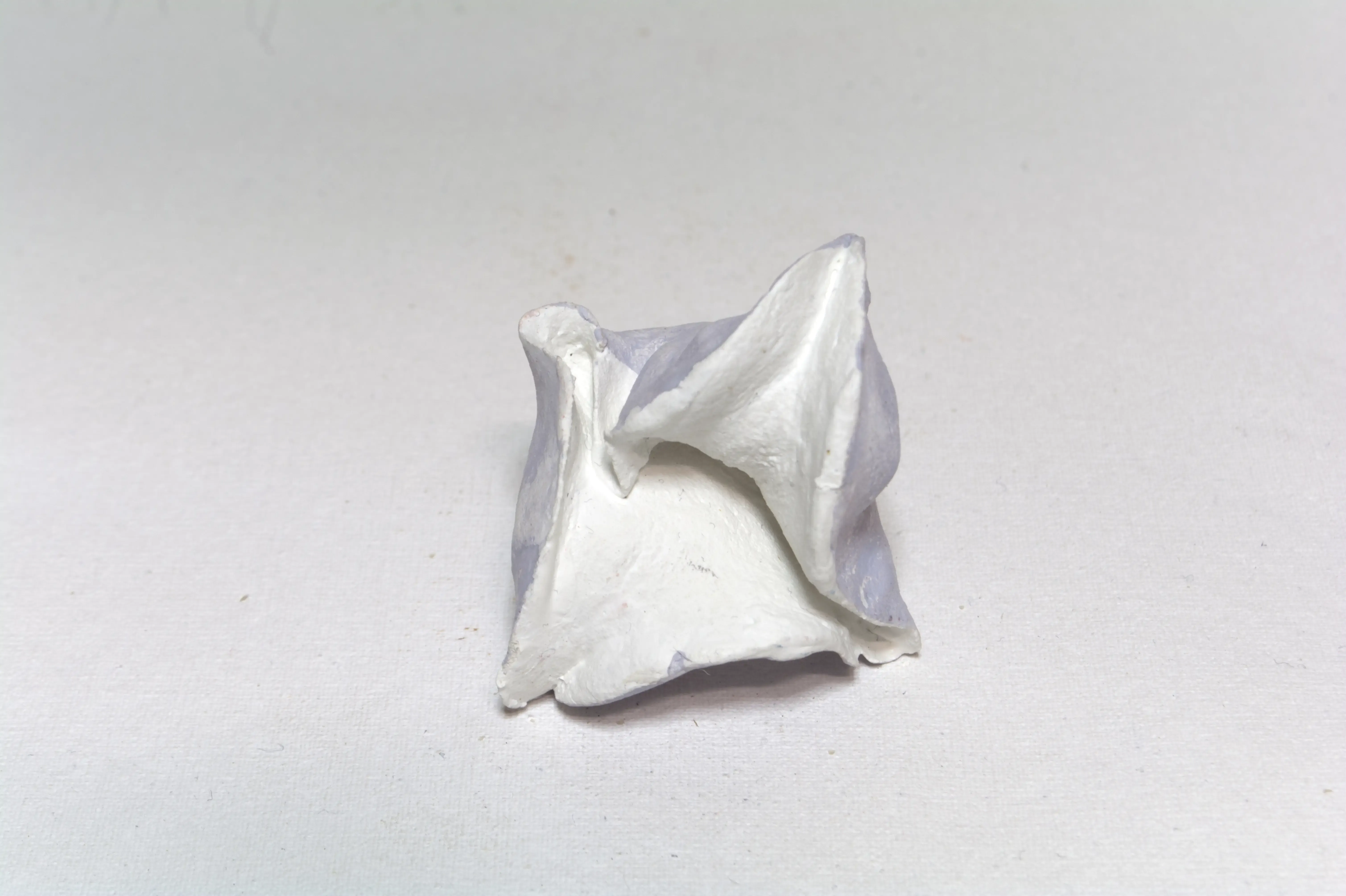 Form-03-Petals Unfold-(2), 2022, Clay, acrylic.webp