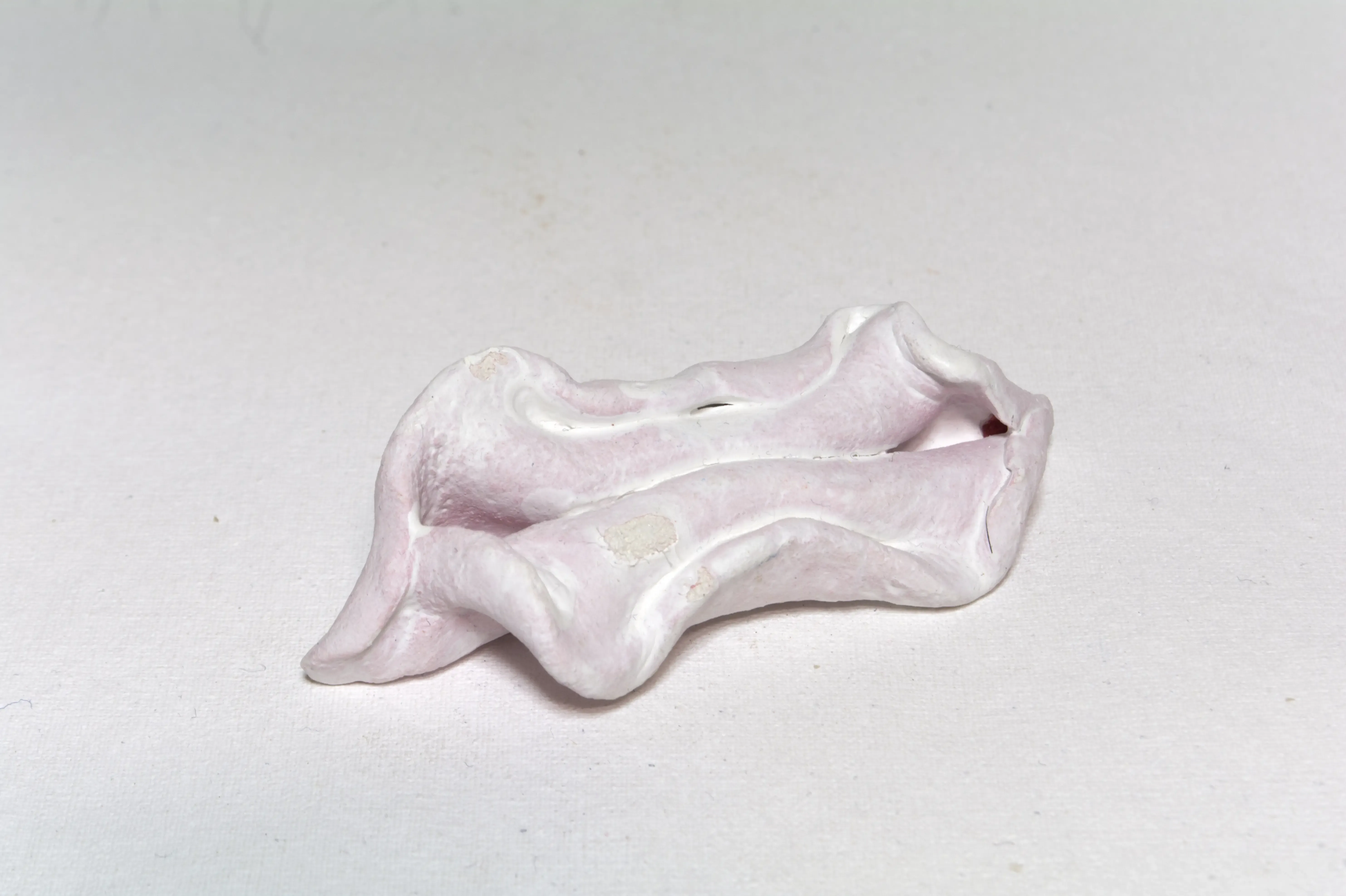 Form-04-Something Like Vagina, 2022, Clay, acrylic.webp