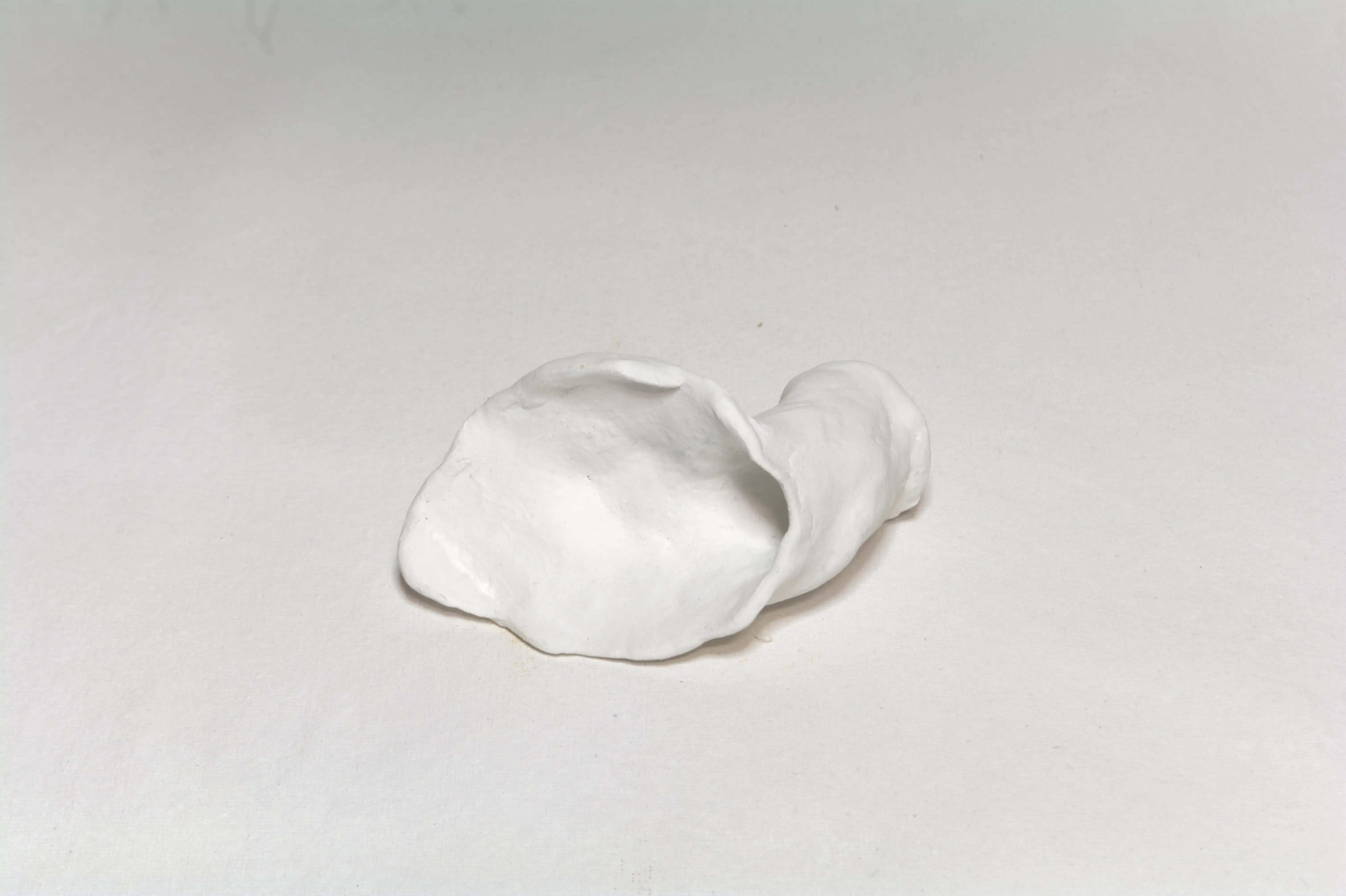 Function-1-An Ear, 2022, Clay, acrylic.webp