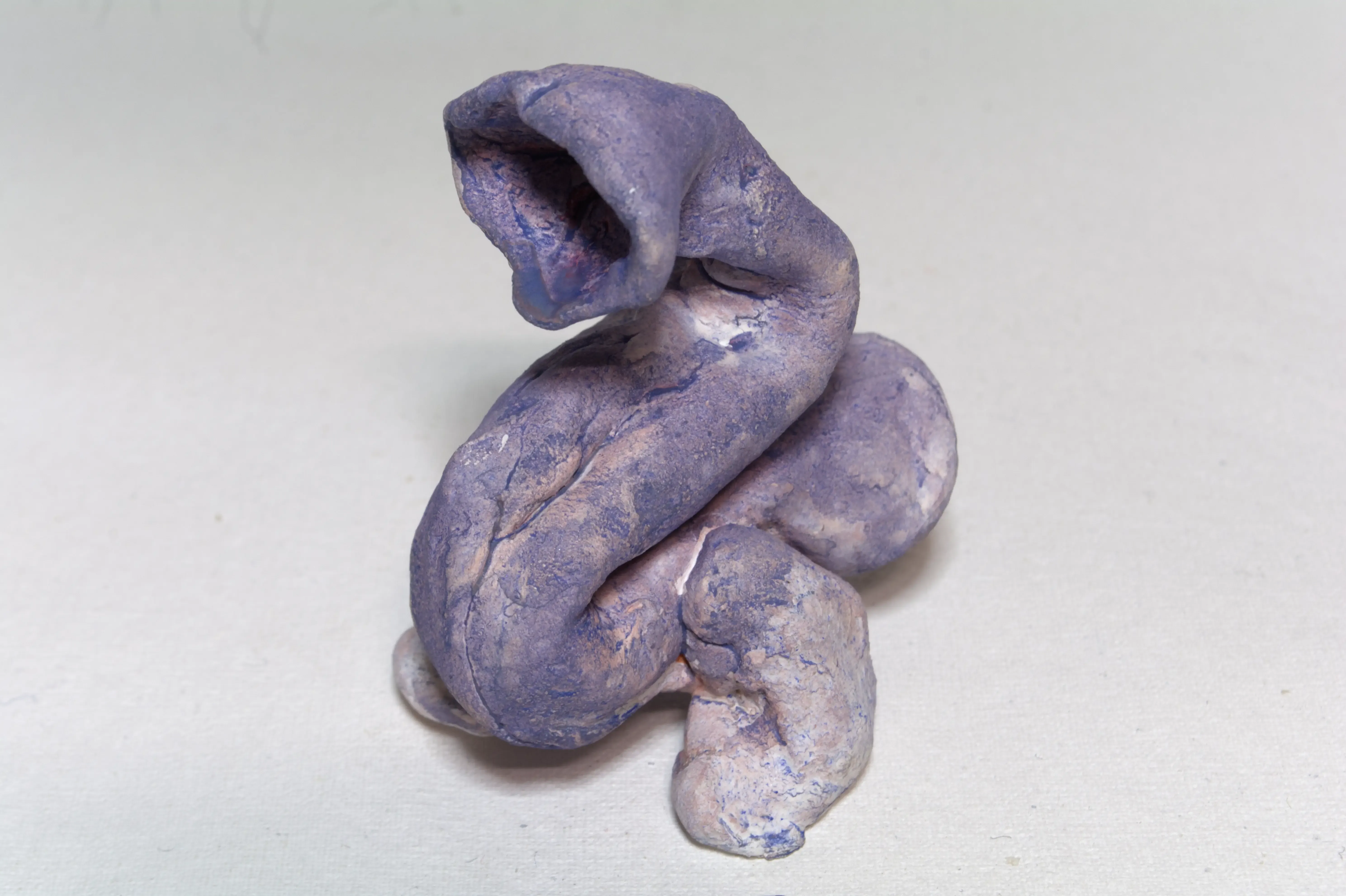 Function-2-Intestine with two legs, 2022, Clay, acrylic.webp