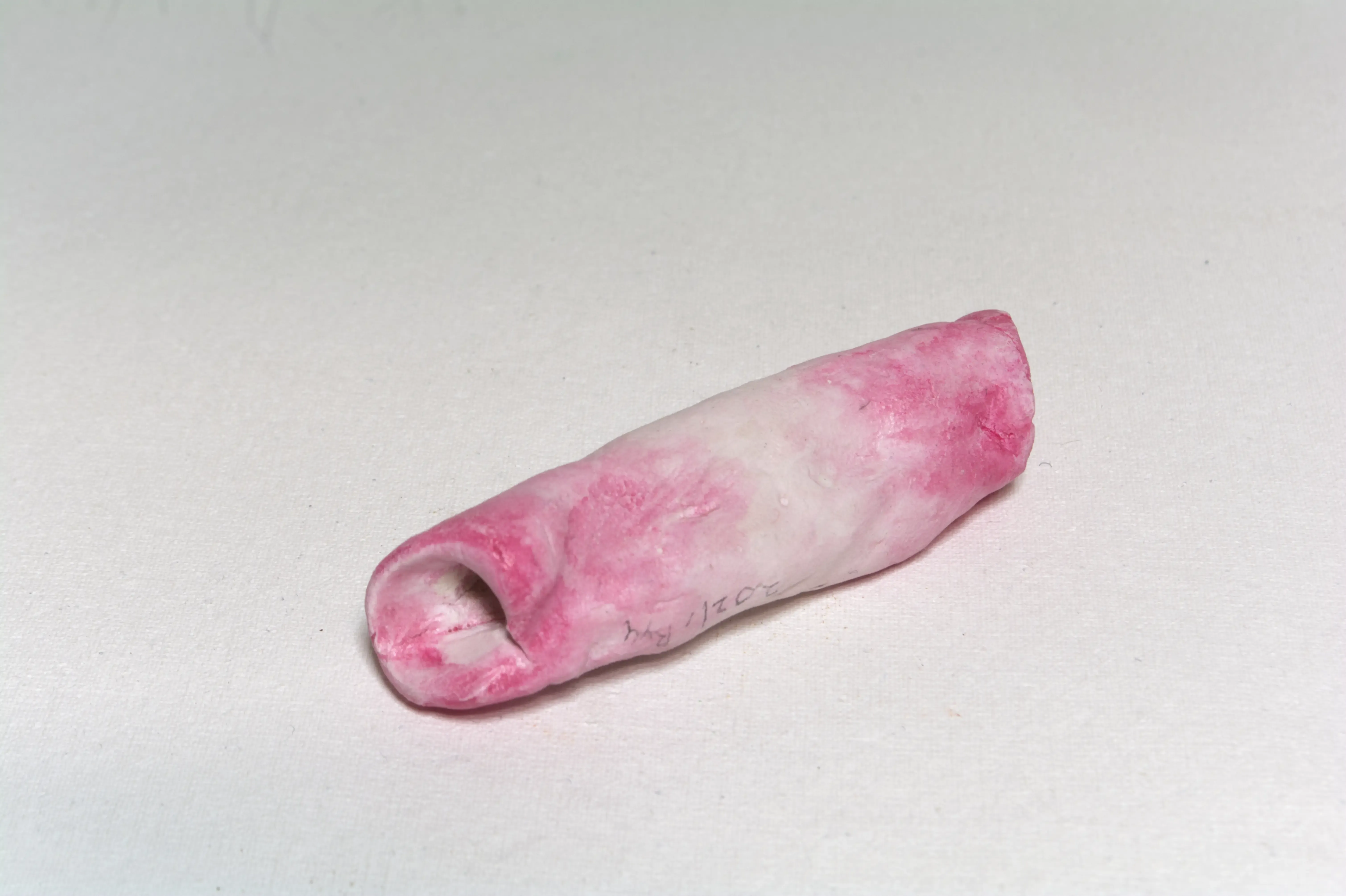 Mood-13-Intestine, 2021, Clay, pastel, acrylic.webp