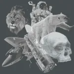 Objects Collection 03, Digital Image, RSCH, 2013.gif