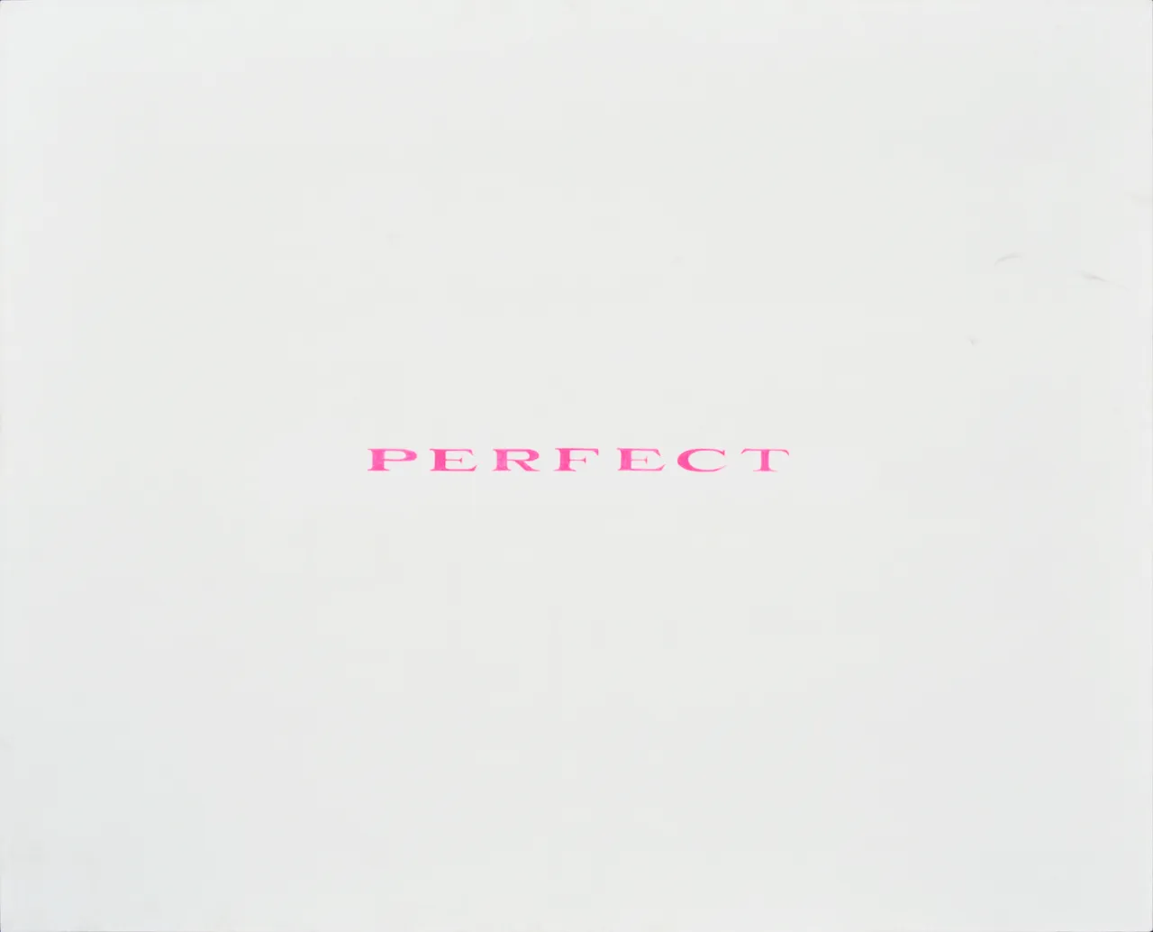 Perfect, Ryu Sung Chul, 2012, Acryl on canvas, 130 x 160cm.jpg