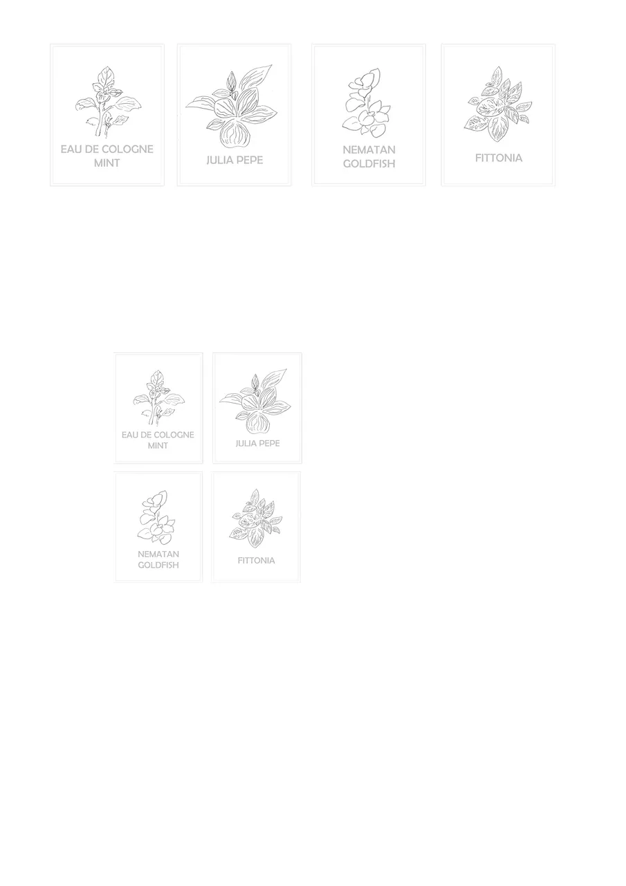 Sticker-Plants-Labels, 2016.jpg