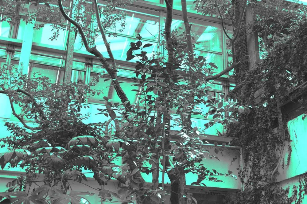 Summer garden 7, 2019, digital edited image, 6000 x 4000px.jpg