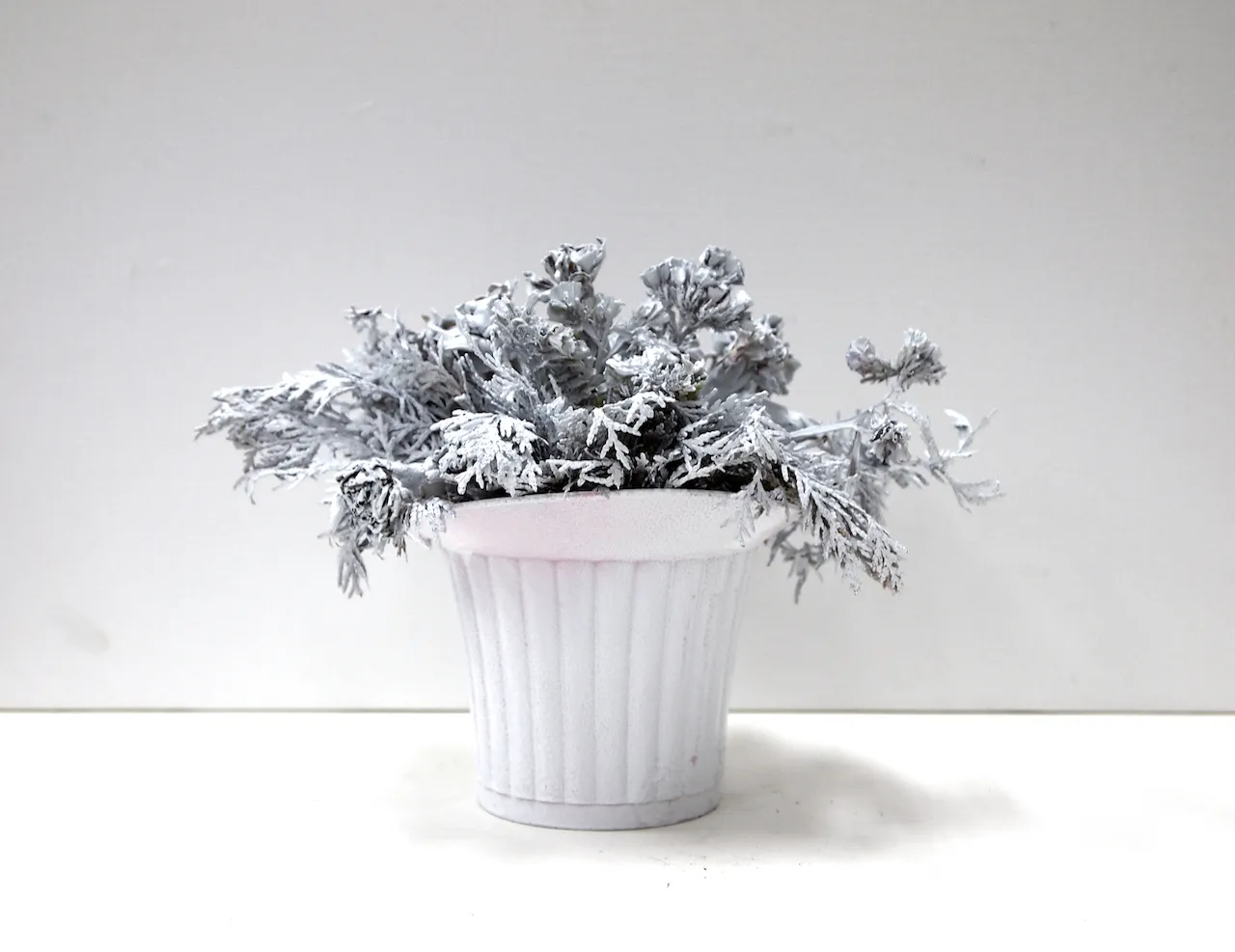 Titanum White, Ryu Sung Chul, 2012, White spray on dead plant.jpg