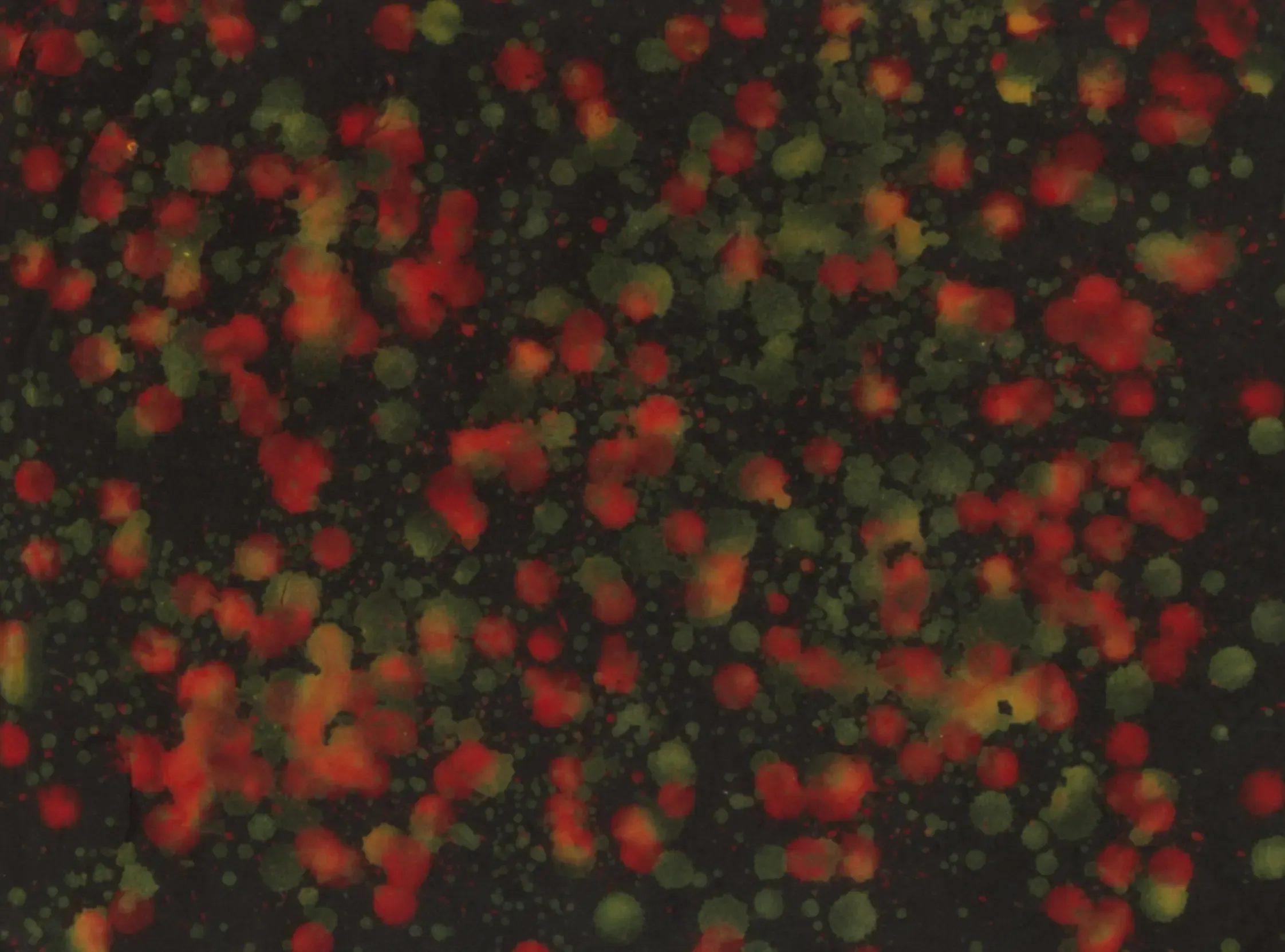 Unnamed-07, 2022, Acrylic on paper(hanji), 22.5 x 30 cm.webp