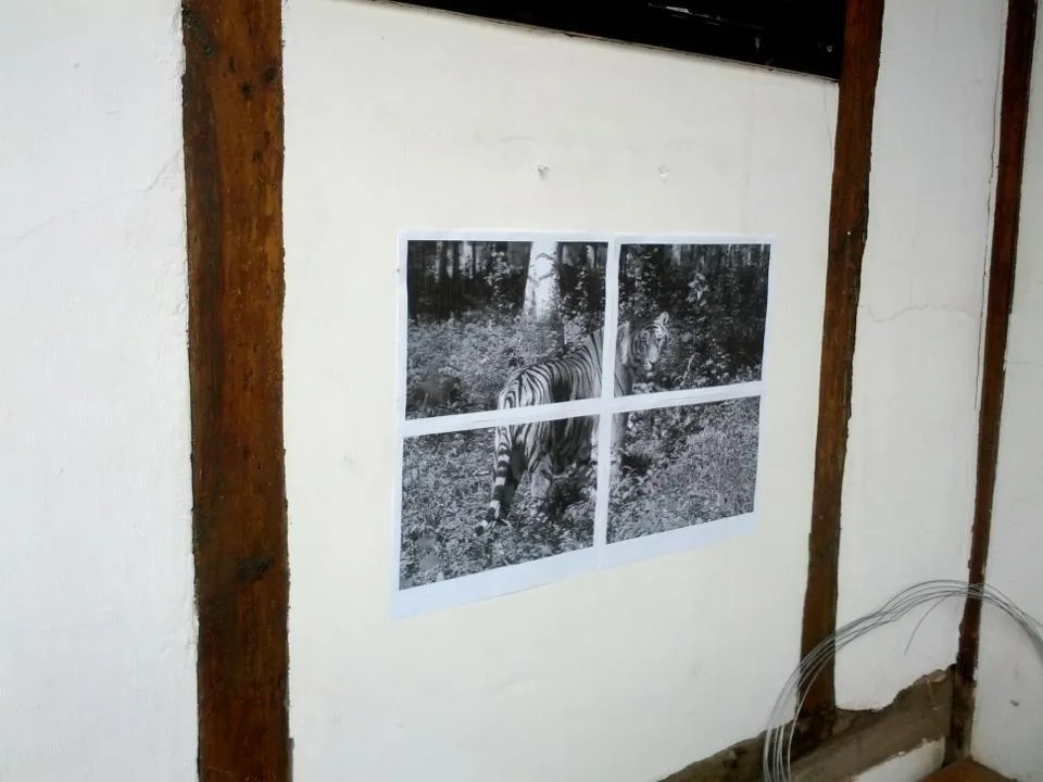 bom_installation-01, 2013.jpg